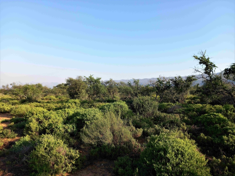 Commercial Property for Sale in Uniondale Rural Western Cape
